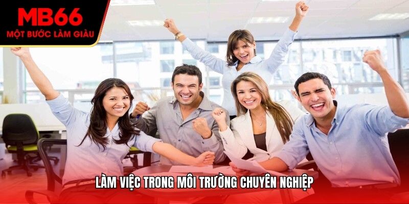 Làm việc trong môi trường chuyên nghiệp